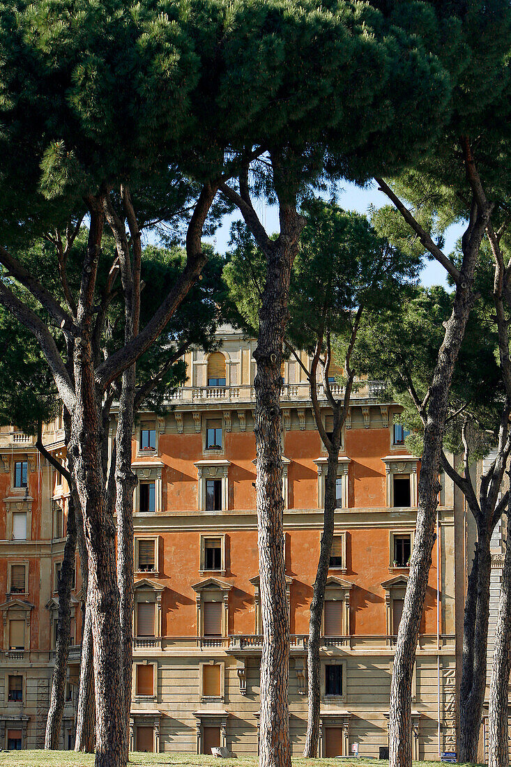 Building Facade, Rome