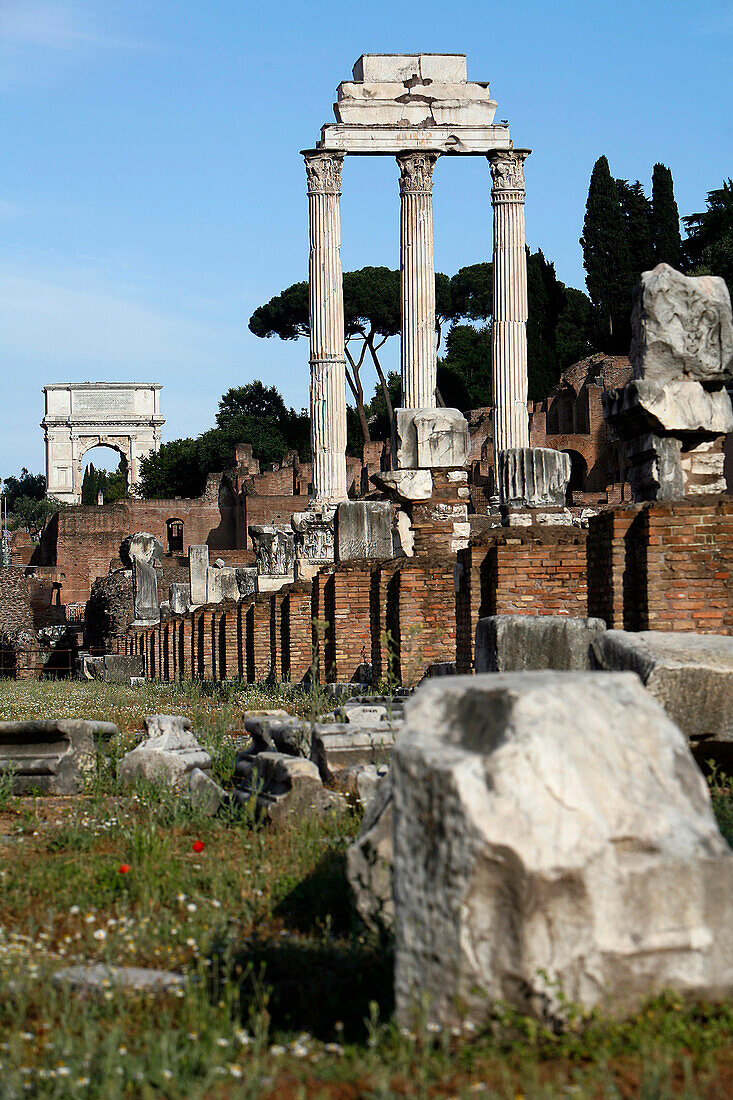 Basilica Julia, Temple Of Castor And Pollux And Arch Of Titus, Foro Romano, Roman Forum, Rome