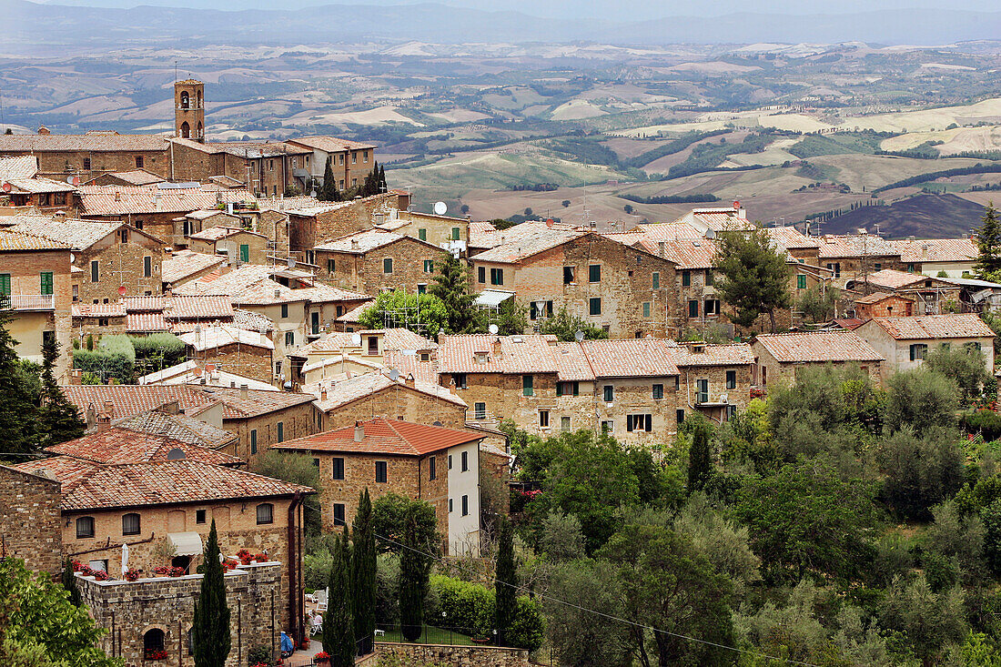 Village Of Montalcino, Known For Its Appellation Brunello Viticulture And Its Montalcino Red, Tuscany, Italy