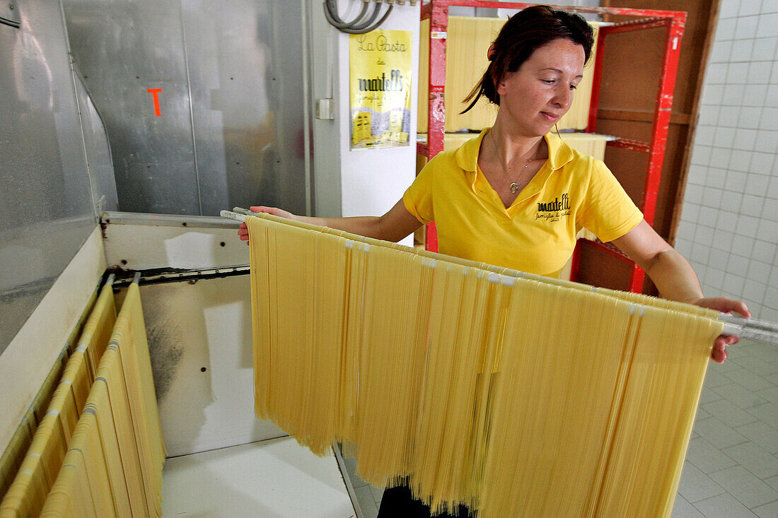 Traditionally¬ßmade Pastas (Spaghetti, Penne, Spaghettini, Macaroni). Martelli Family Enterprise Since 1926, Lari, Near Pisa, Tuscany, Italy