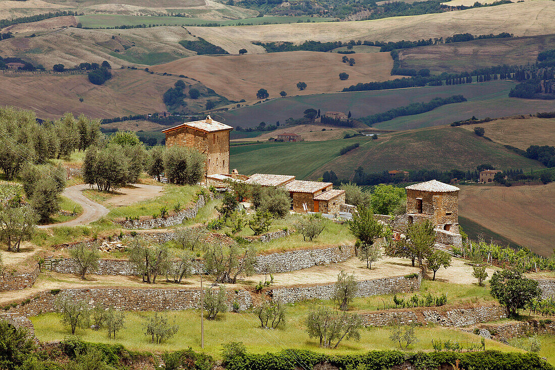 Village Of Montalcino Known For Its Appellation, Brunello Viticulturist And Its Montalcino Red, Tuscany, Italy