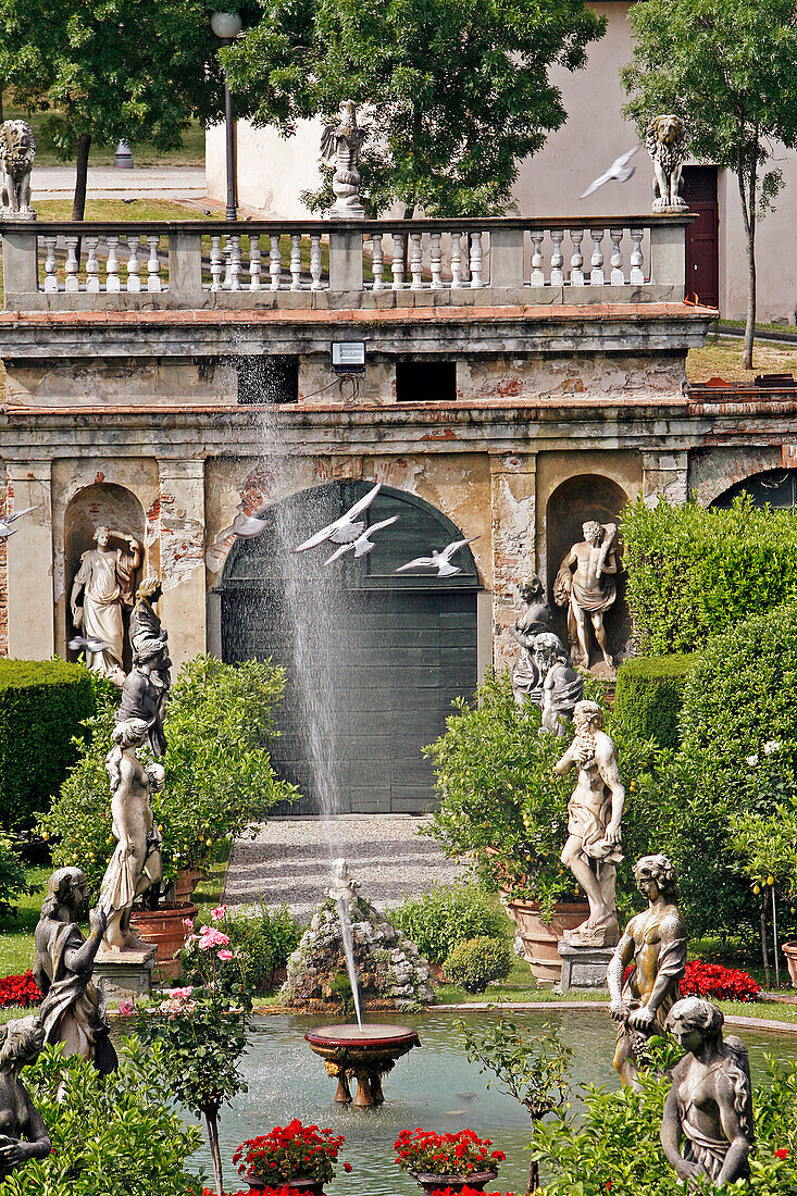 Garden In The Palazzo Pfanner With Its Statues, Its Rosebushes And Lemon Trees, Lucca, Tuscany, Italy