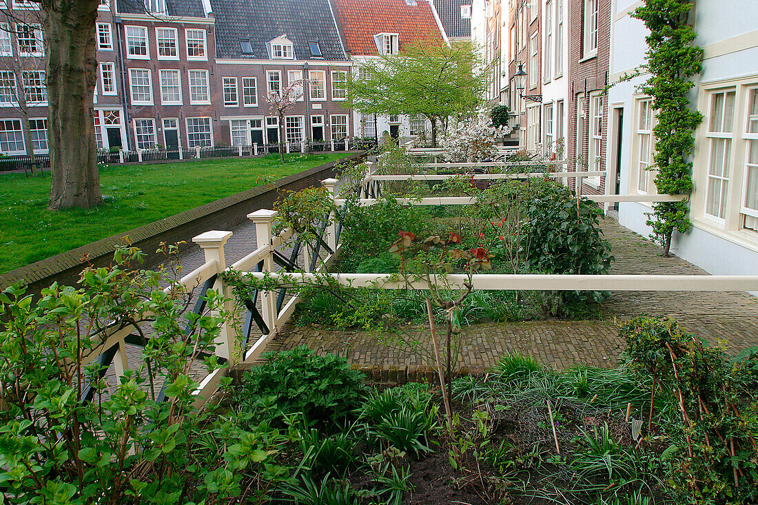 Garden Of The Houses In The Begijnhof Neighbourhood, Amsterdam, Netherlands