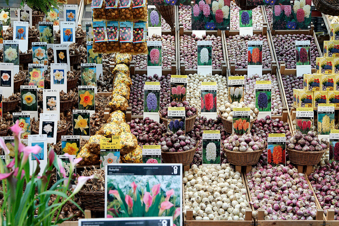 Florist'S Stall 'Firma Straats', Tulip Specialist, Flower Market, Amsterdam, Netherlands