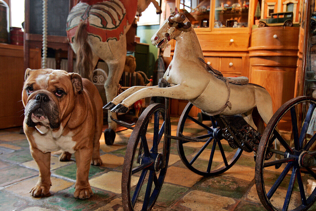 Antique Toy Store, 'Couzijn Simon', Amsterdam, Netherlands