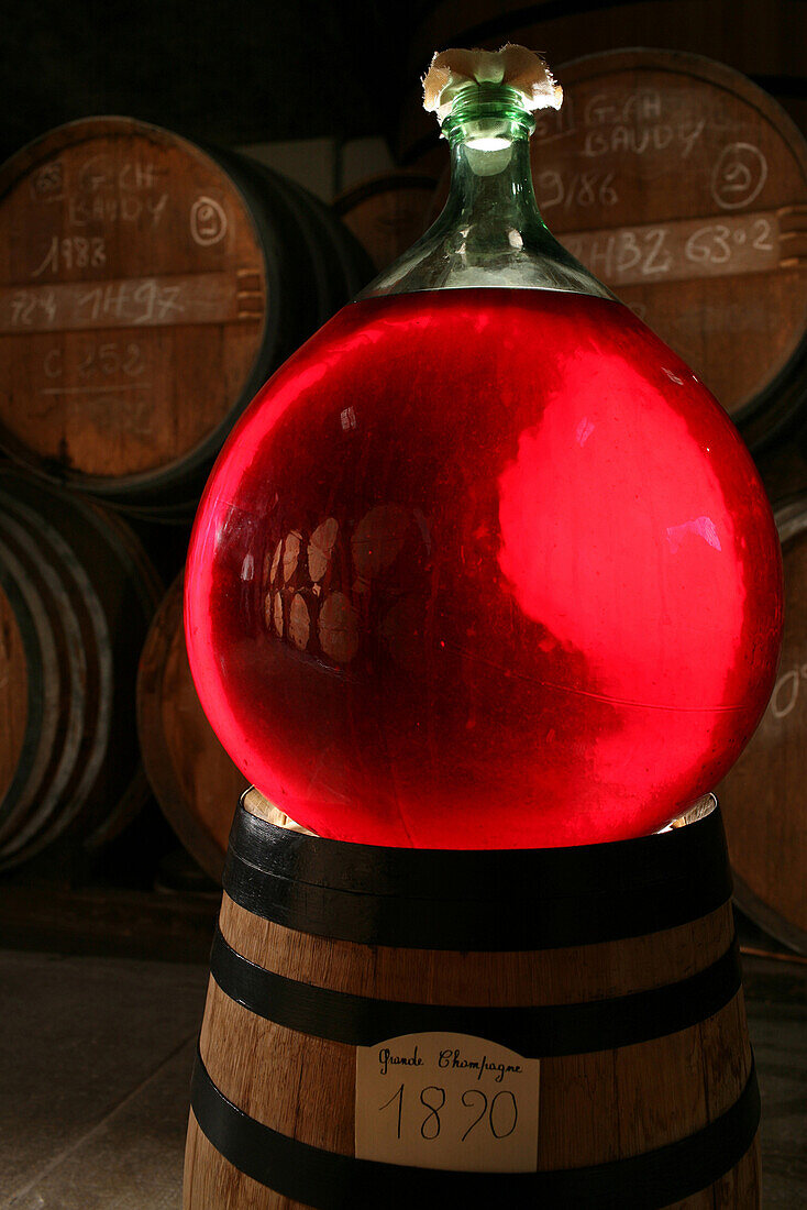 Demijohn Of Old Cognac From 1890 In A Wine Cellar, Eau-De-Vie From An Appellation D'Origine Controlee, Charente (16)