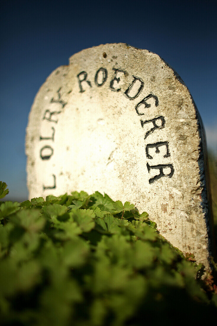 Stone Markers From The Vineyards Of The Great Champagne Makers, Roedrer, Marne (51)