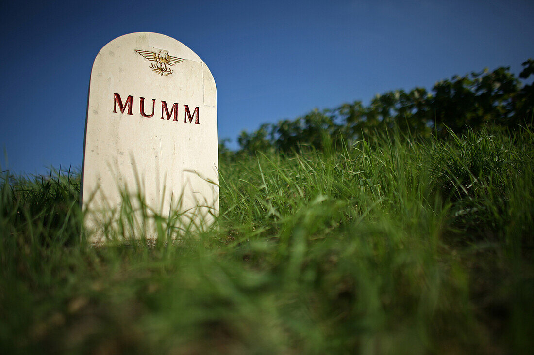 Stone Markers From The Vineyards Of The Great Champagne Makers, Maison Mumm, Marne (51)