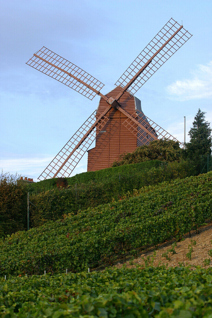 Mumm Mill In The Vineyards Of Verzenay, Marne (51)