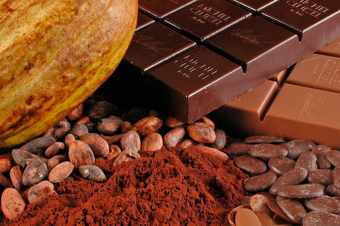 Detail Of Different Forms Of Cocoa (Pod, Beans, Chocolate Bonbons, Chocolate Bars), Michel Cluizel Chocolate Company, Damville (27), France