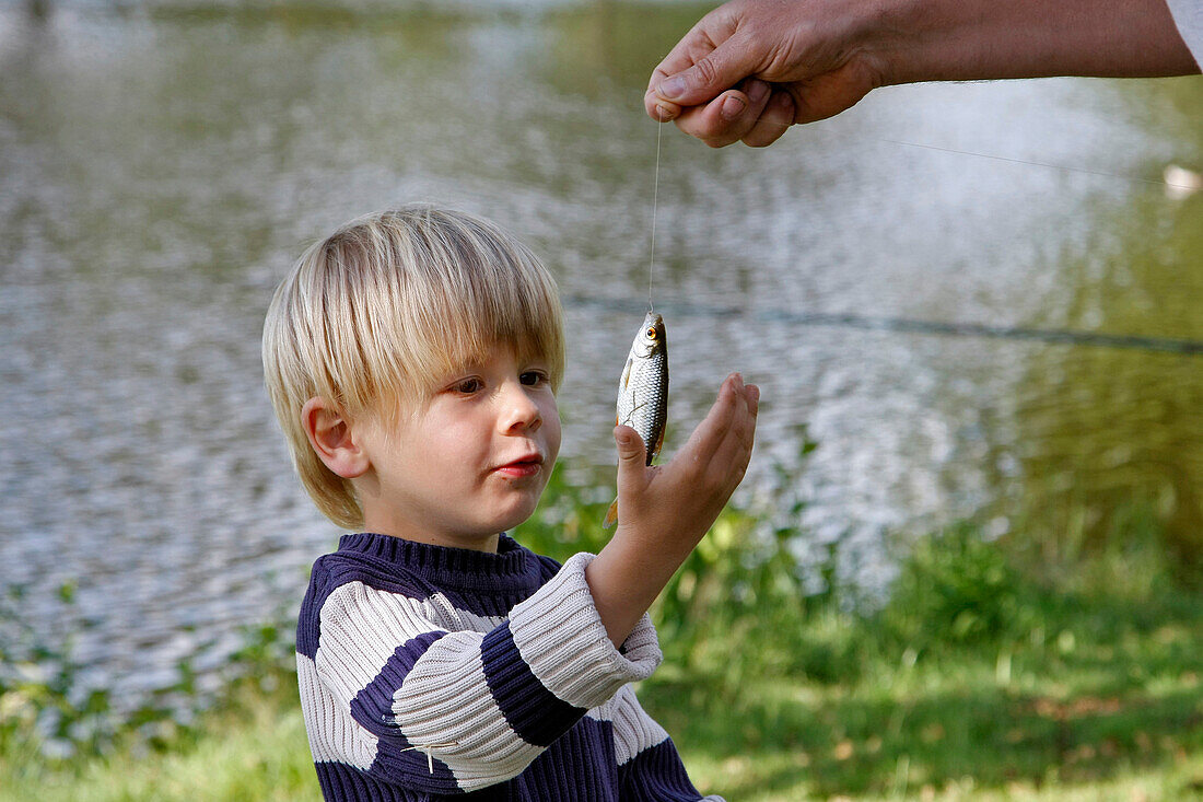 The Look Of A Young Child After His First Catch, Fishing With The Family On The Etang De Cunlhat (63), France