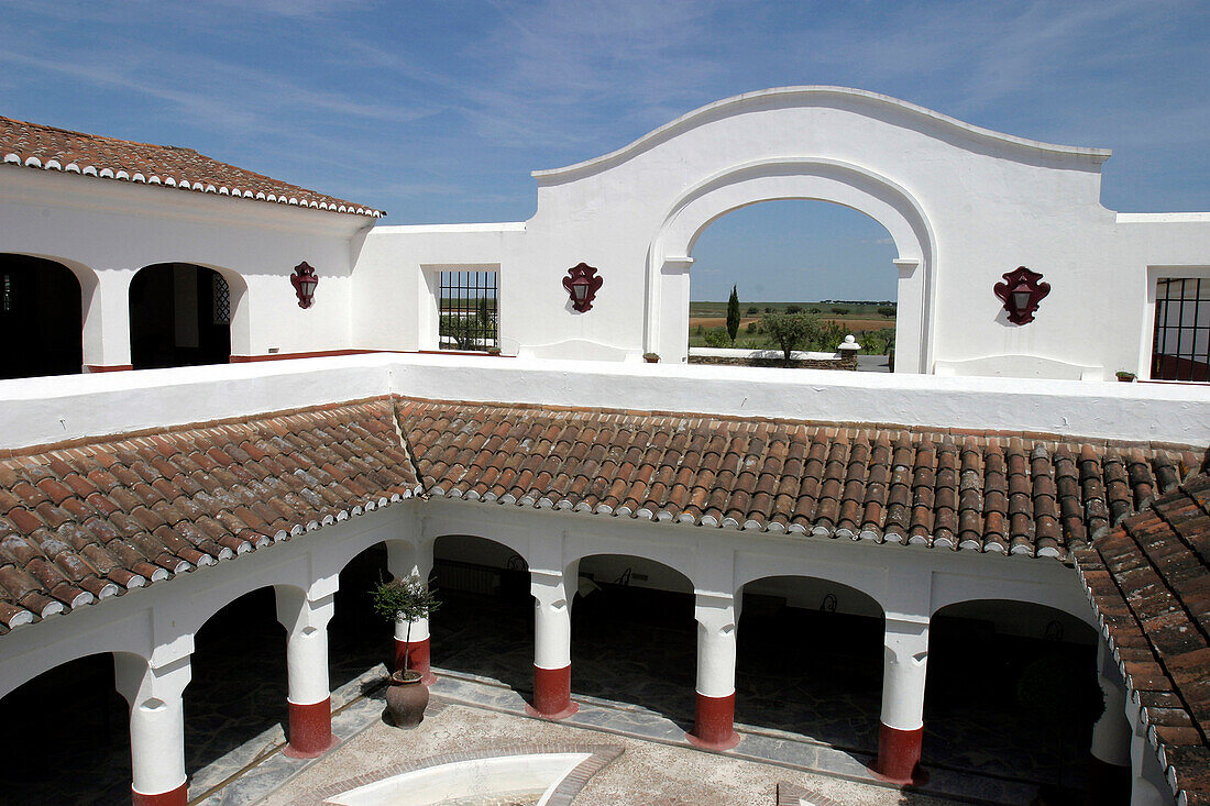 Esporao Vineyard, Reguengos De Monsaraz, Alentejo, Portugal