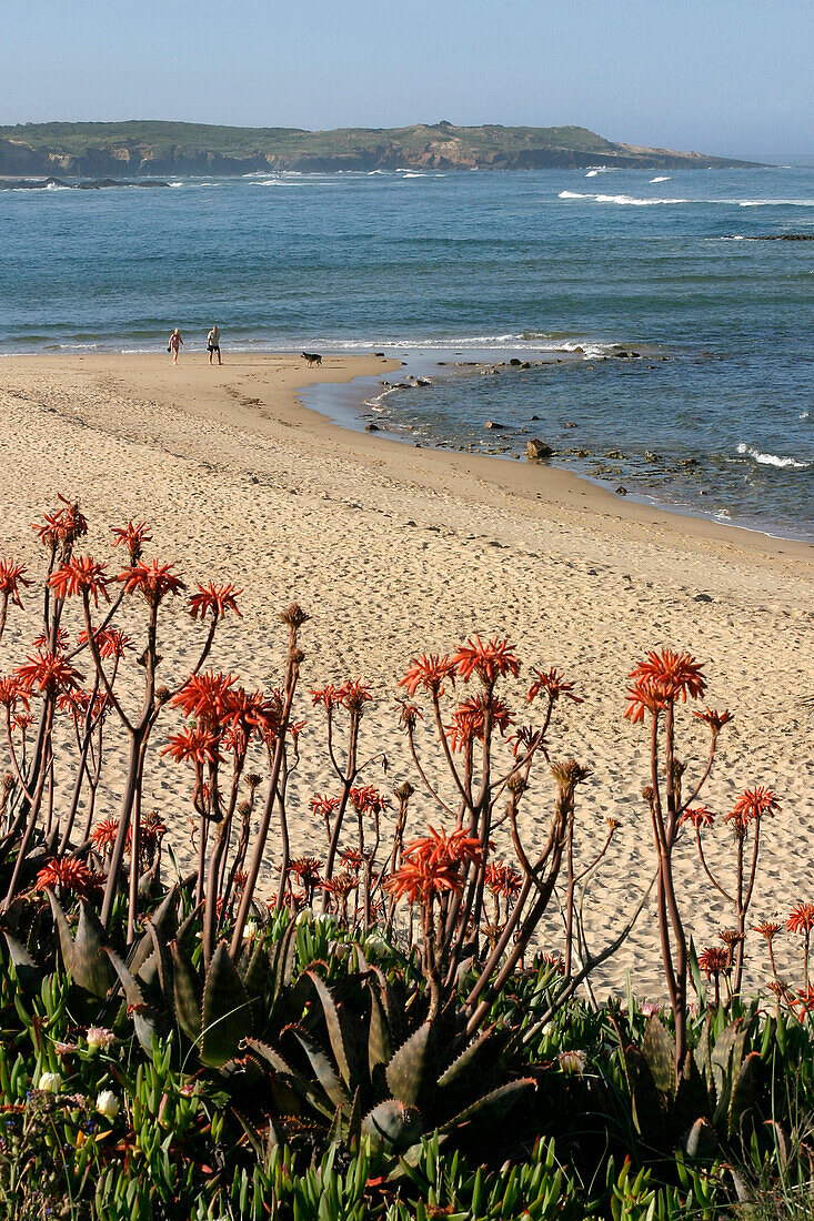 Sunbathers On The Beach, Vila Nova Das Milfontes, Alentejo, Portugal