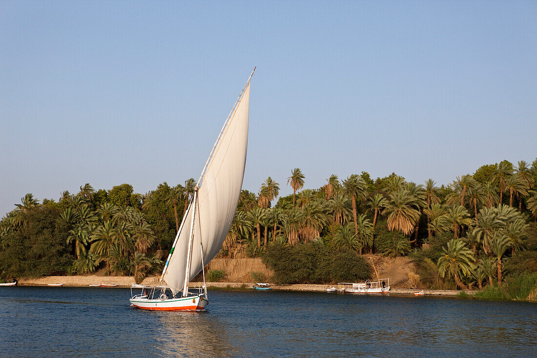 Felucca on Nile River, Aswan, Egypt