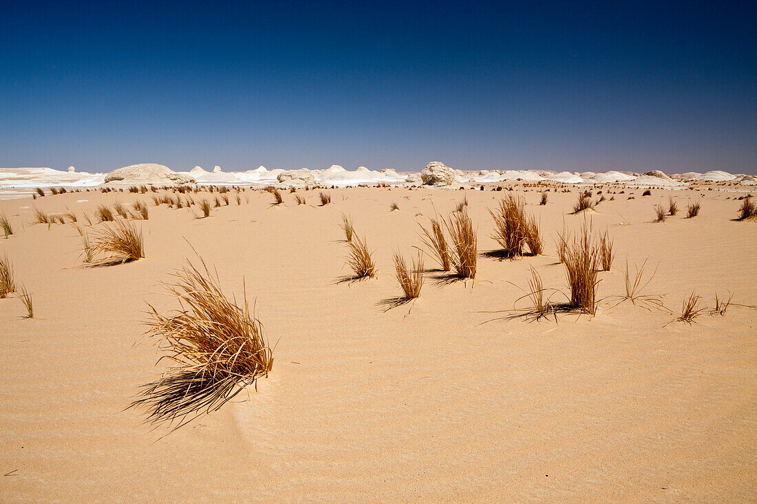 Landschaft in Nationalpark Weisse Wüste, Libysche Wüste, Ägypten