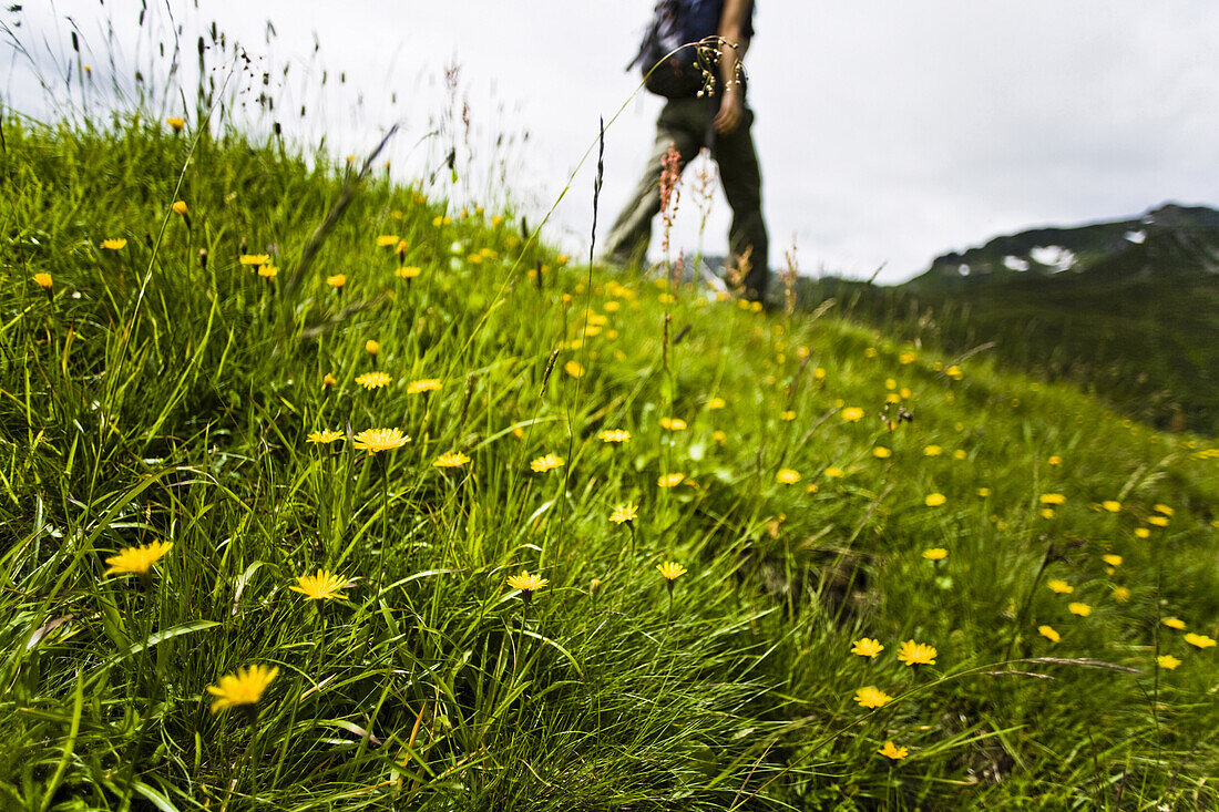 Frau wandert über Wiese, Obere Röbi Alm, Gargellen, Montafon, Vorarlberg, Österreich