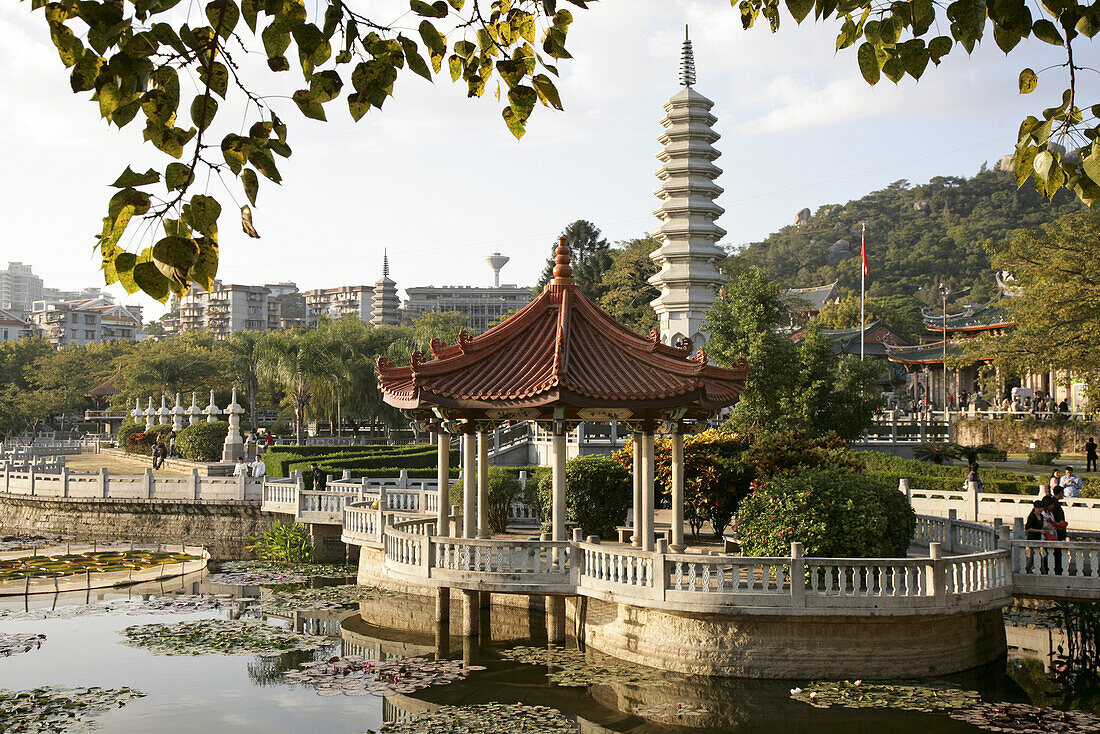 Lotos pond at Nanputuo Temple and pagoda, Xiamen, Fujian, China, Asia