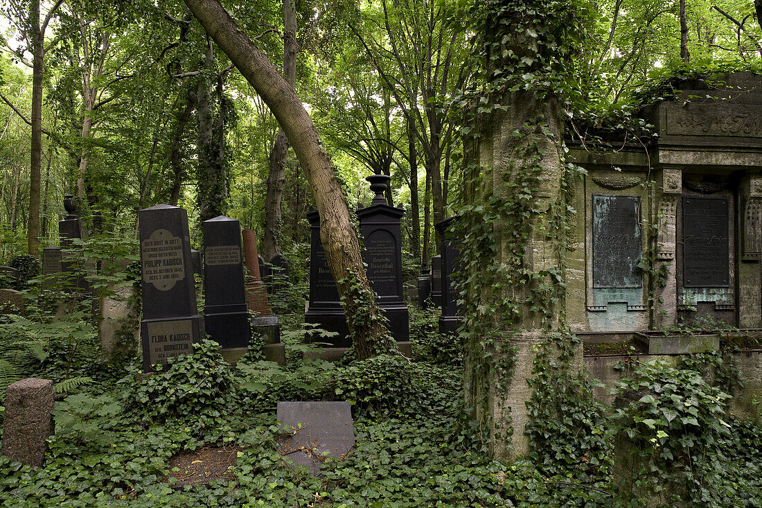 Jewish cemetery in Berlin-Weissensee, it is considered to be the largest Jewish cemetery in Europe, Berlin, Germany, Europe
