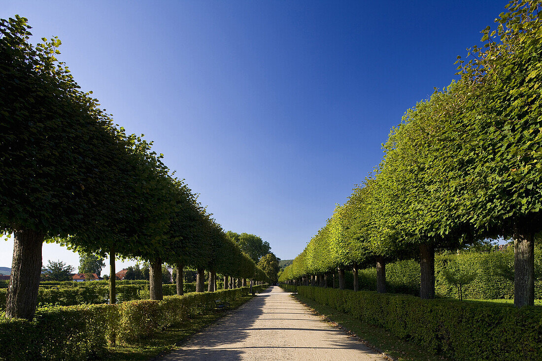 Rococo garden in Veitshoechheim castle, near Würzburg, Lower Franconia, Bavaria, Germany, Europe