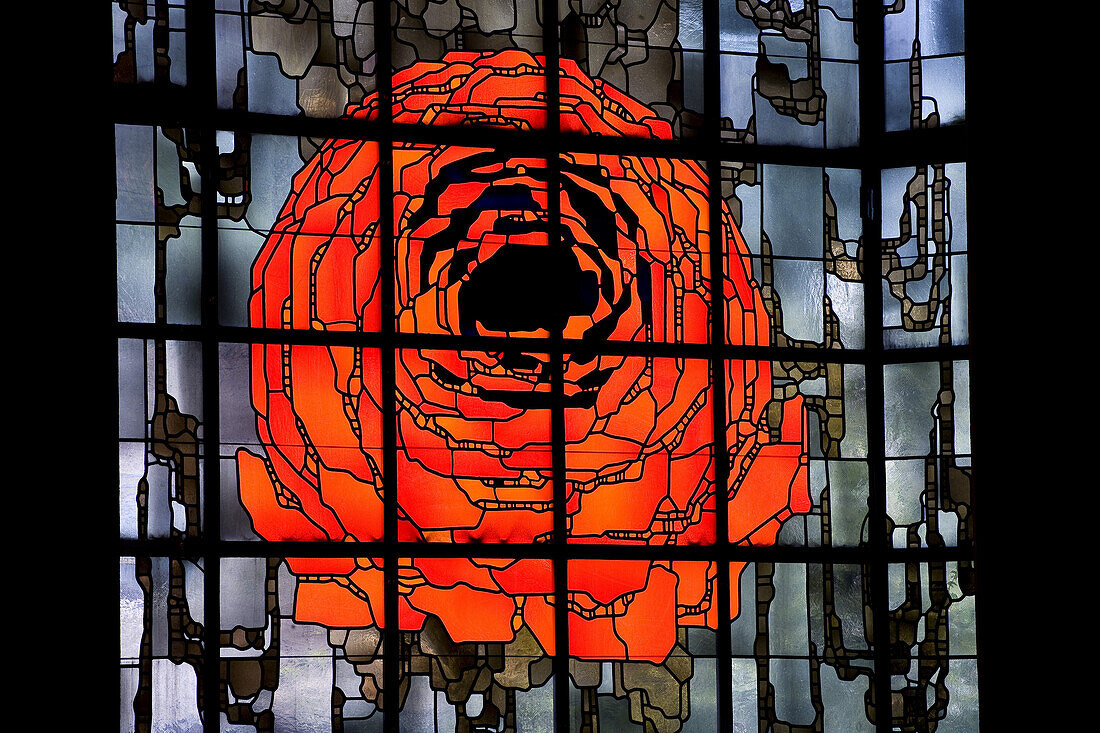 Stained glass window with rose, Pilgrimage church in Neviges, build in 1968 by architect Gottfried Böhm, Neviges, Bergisches Land, North Rhine-Westphalia, Germany, Europe