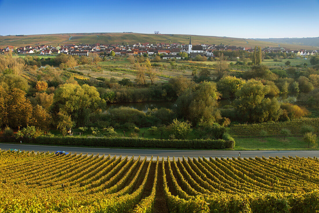 View over vineyards to Nordheim, Franconia, Bavaria, Germany