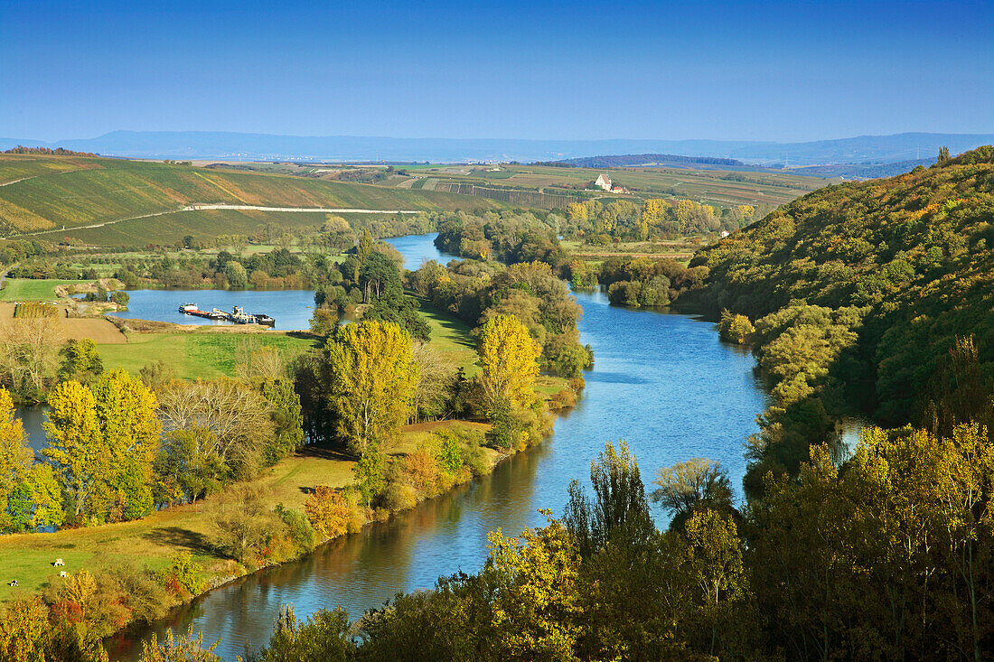 Mainschleife bei Volkach, Mainfranken, Franken, Bayern, Deutschland