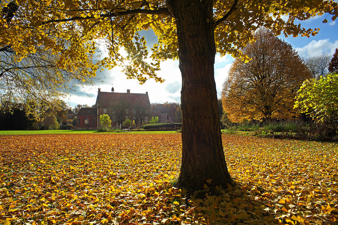 Garden, Huelshoff castle, Havixbeck, Muensterland, North Rhine-Westphalia, Germany