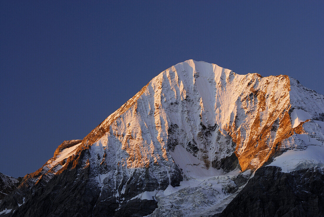 Alpenglow at north face of Koenigspitze, Ortler range, South Tyrol, Italy