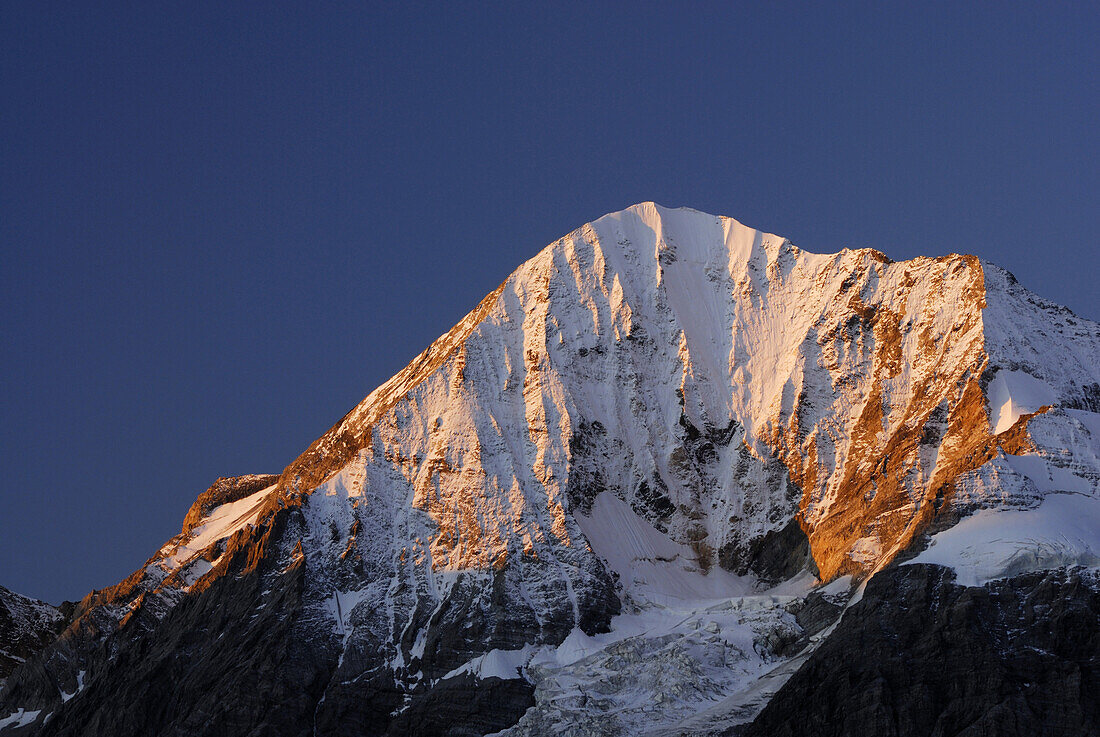 Alpenglühen an der Nordwand der Königspitze, Ortlergruppe, Trentino-Südtirol, Italien