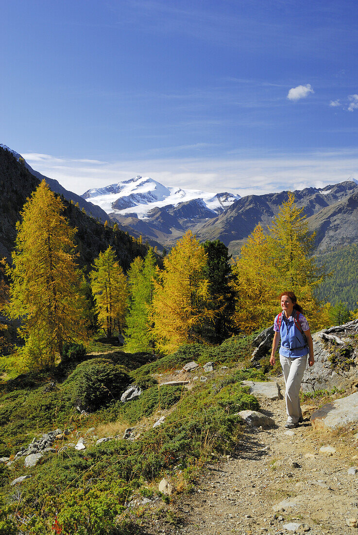 Woman hiking, valley Zufritt, Ortler range, Trentino-Alto Adige/South Tyrol, Italy