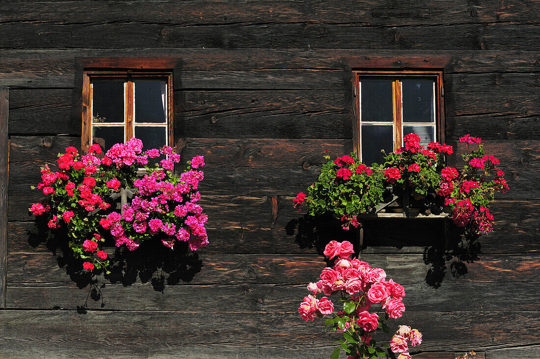 Bauernhaus mit Blumenkästen, Vinschgau, Trentino-Südtirol, Italien