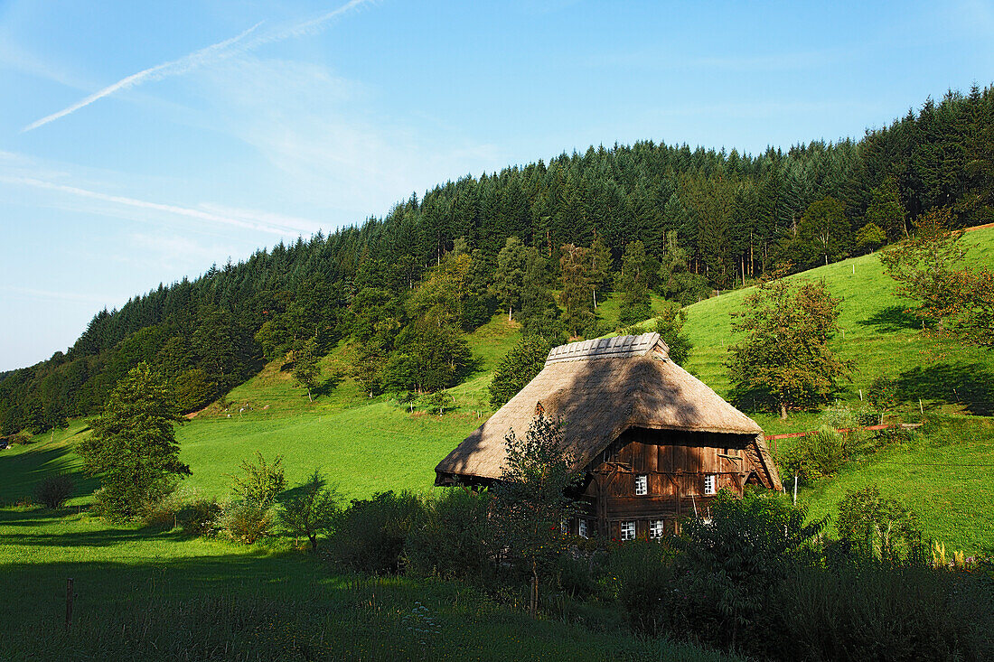 Bauernhof, Gutachtal, Baden-Württemberg, Deutschland