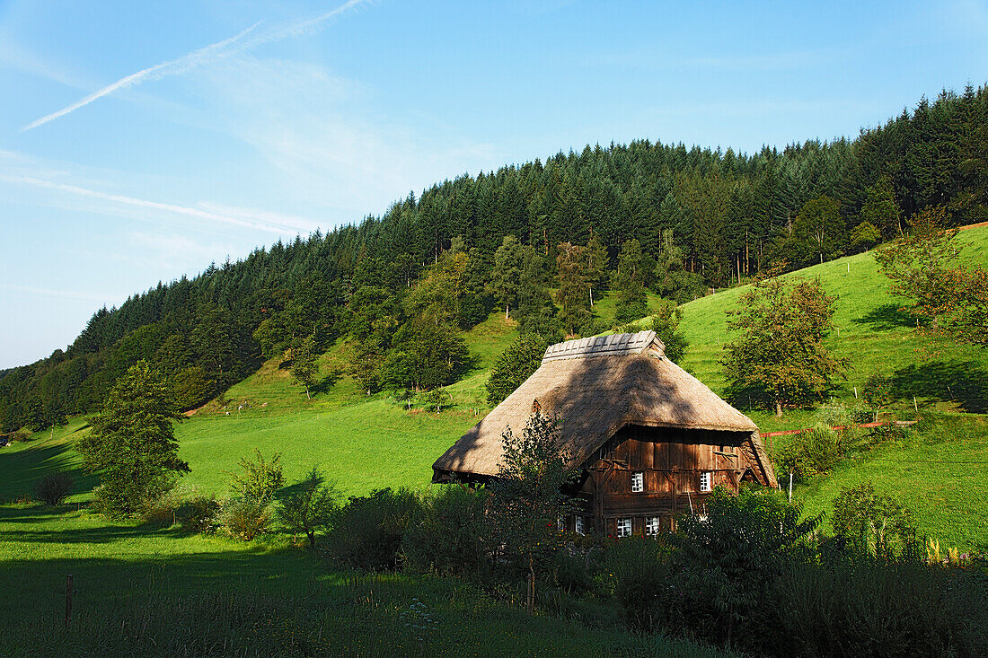 Farm house, Gutach, Baden-Wurttemberg, Germany