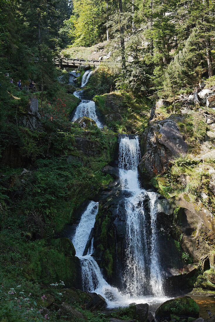Triberger Wasserfälle, Trieberg im Schwarzwald, Baden-Württemberg, Deutschland