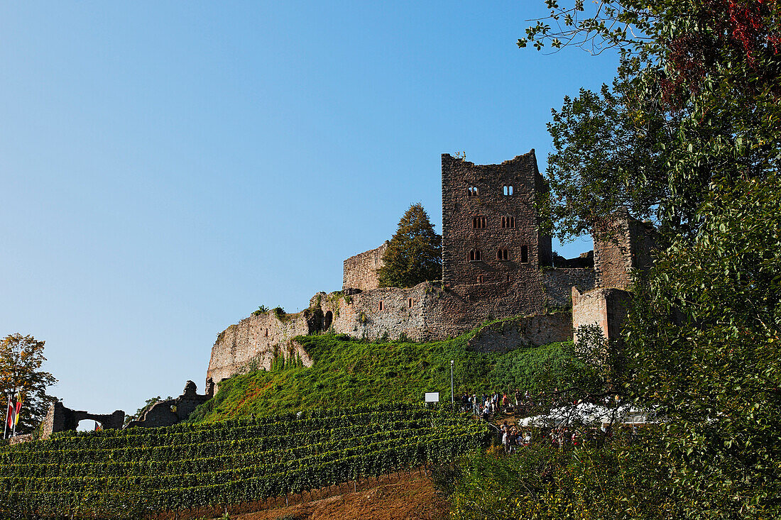 Schauenburg castle ruins, Oberkirch, Baden-Wurttemberg, Germany