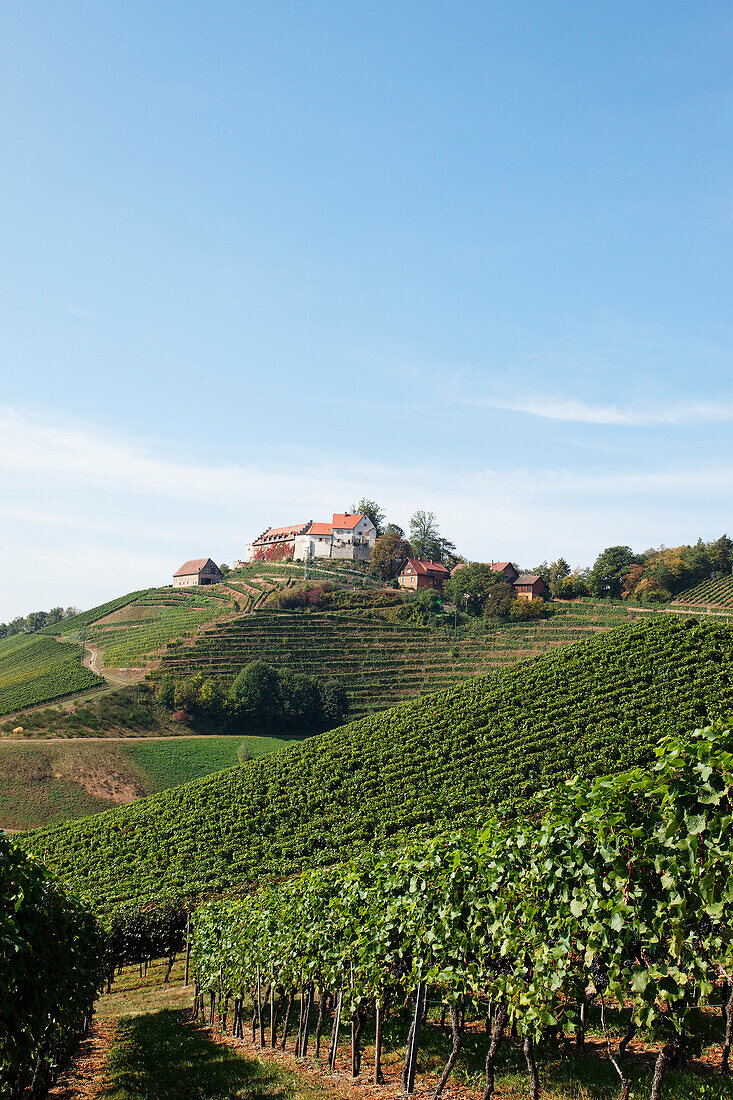 Staufenberg castle, Durbach, Baden-Wurttemberg, Germany