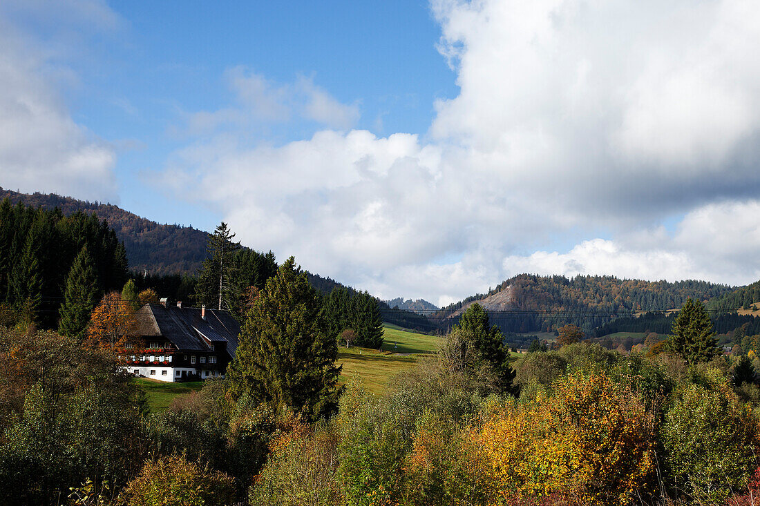 Black forest farm near Bernau im Schwarzwald, Baden-Wurttemberg, Germany