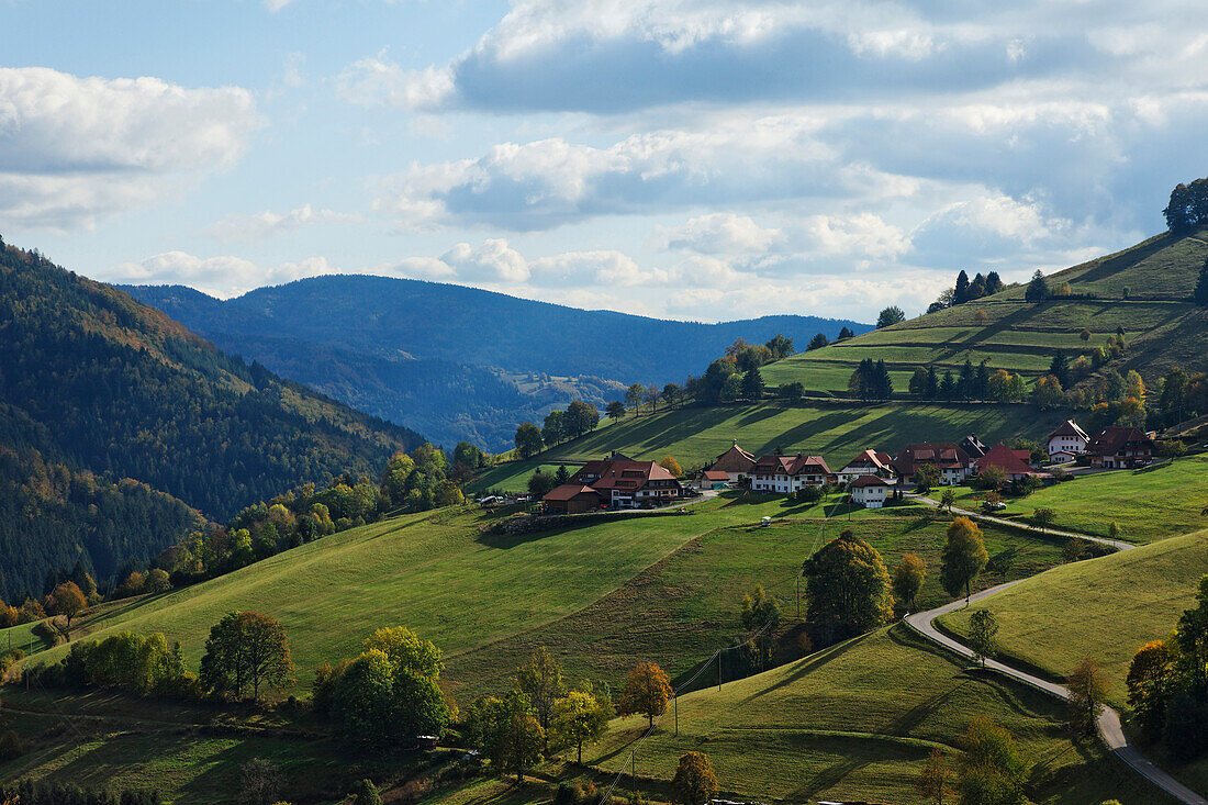 Mountain scenery, Wiedener Eck, Wieden, Baden-Wurttemberg, Germany