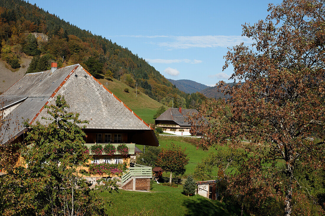 Farm house, Praeg, Todtnau, Baden-Wurttemberg, Germany