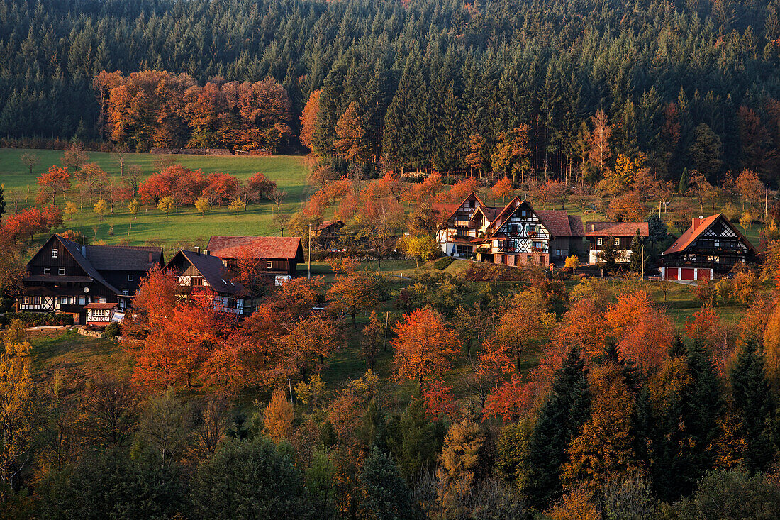 Half-timbered houses, Seebach valley, Baden-Wurttemberg, Germany