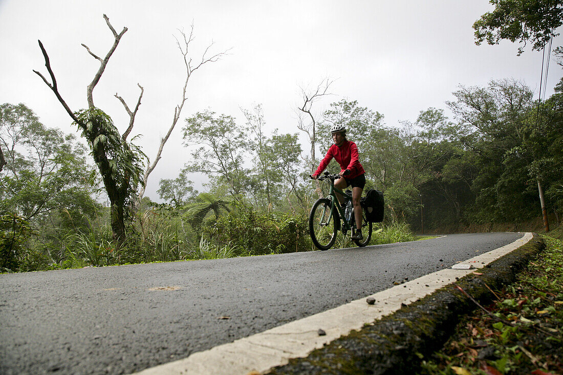 Deutsche Radfahrerin auf einer Strasse im Regenwald, Ostküste von Taiwan, Republik China, Taiwan, Asien