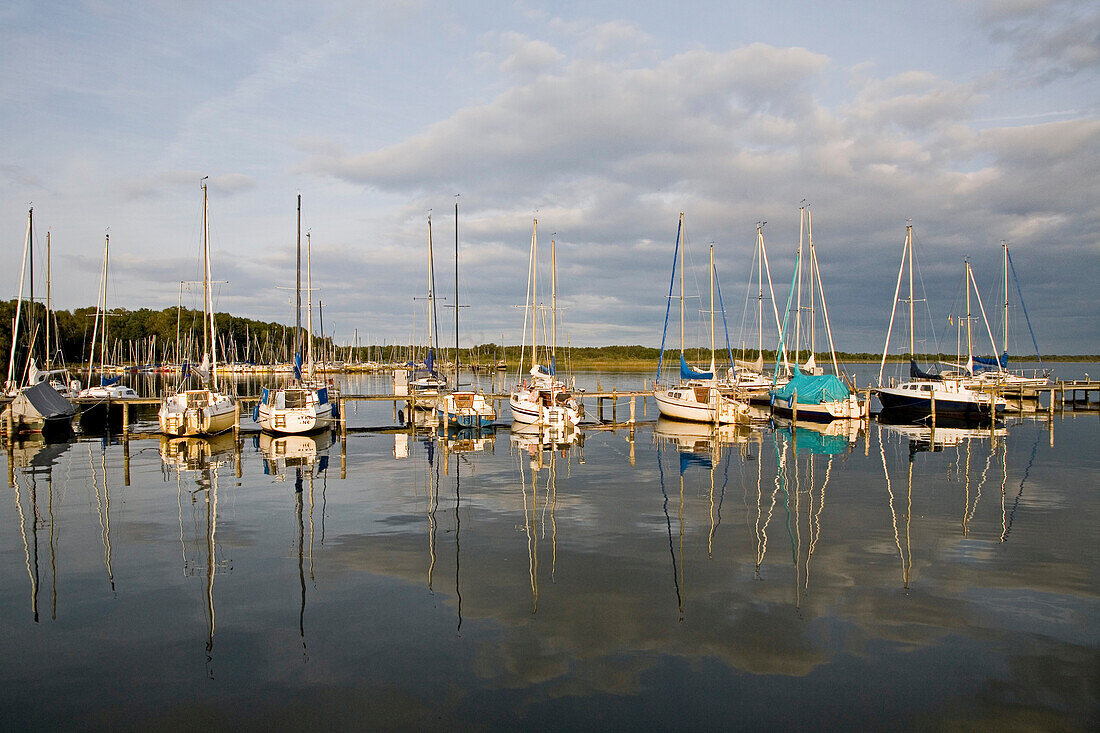 Segelboot am Steg auf dem Steinhuder Meer, Masten, Ufer, Spiegelung