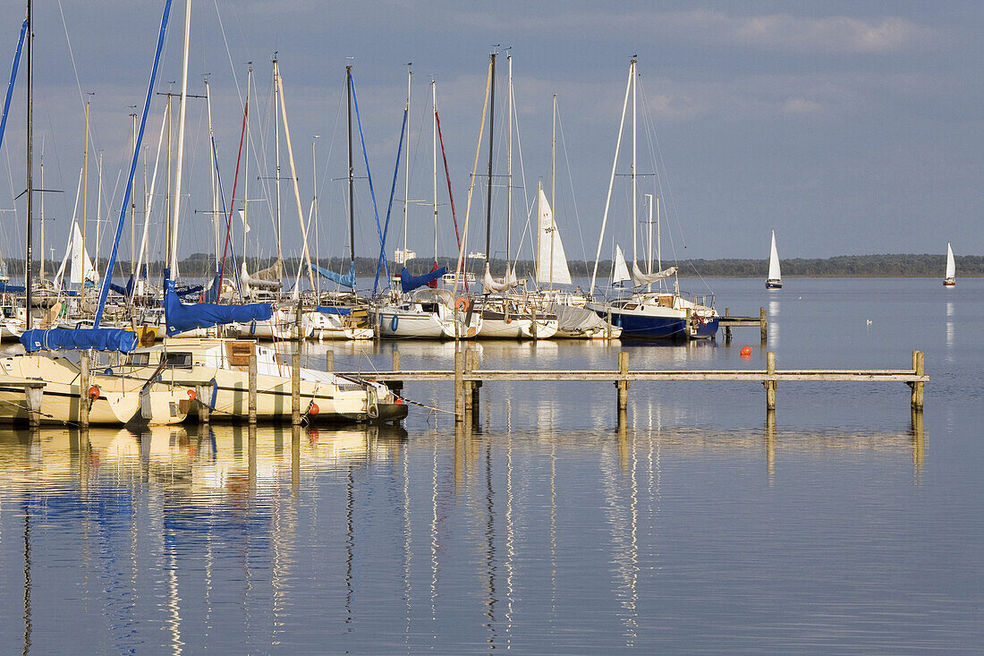 Yachthafen, Steinhuder Meer, Niedersachsen, Deutschland