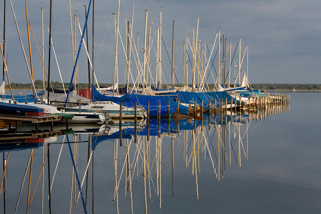 Segelboot am Steg auf dem Steinhuder Meer, Masten, Ufer, Spiegelung