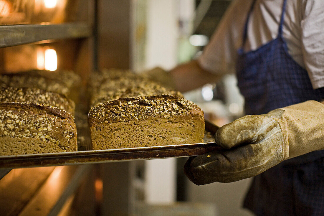 Backstube in der Hofbäckerei Bundschuh in Stöckendrebber, Bäcker nimmt Brot aus dem geöffneten Backofen, Regale gefüllt mit Broten, Vollkornbrot, ökologisch