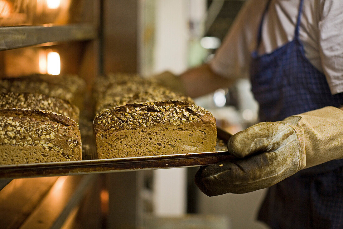 fresh loaves in Bundschuh bakery in Stöckendrebber, Hanover region, Lower Saxony, Germany