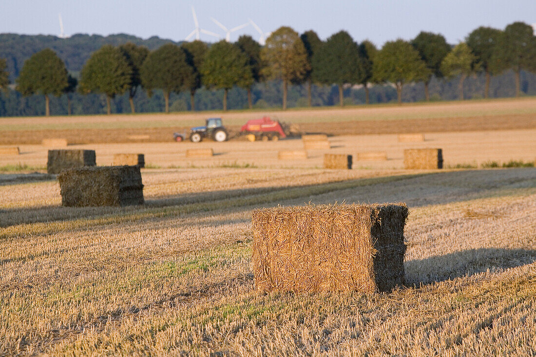 harvester, grain fields, Calenberger Land, northern Germany