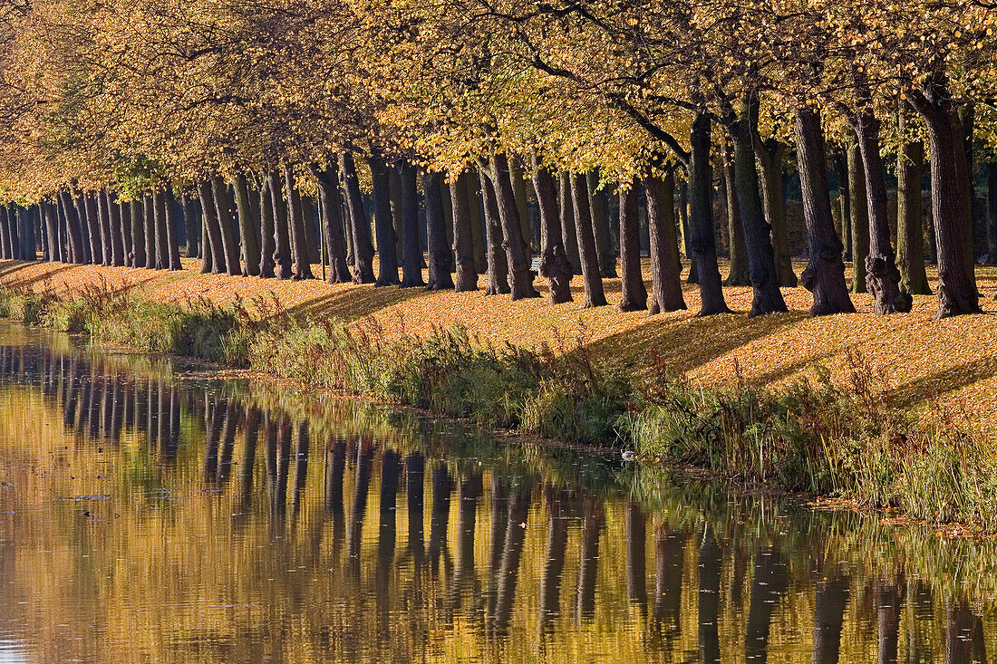 Großer Garten, Bäume, Linden, Baumallee, spiegeln sich im Wasser, Graft, Ufer, Herrenhäuser Gärten