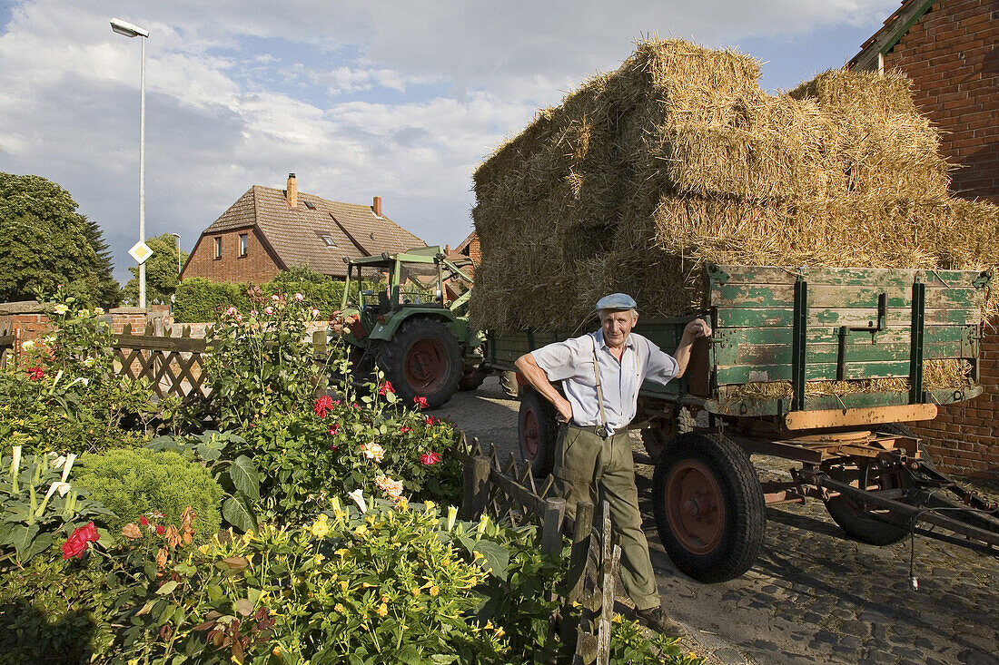 Landwirt bei Anhänger mit Strohballen, Sehnde, Niedersachsen, Deutschland