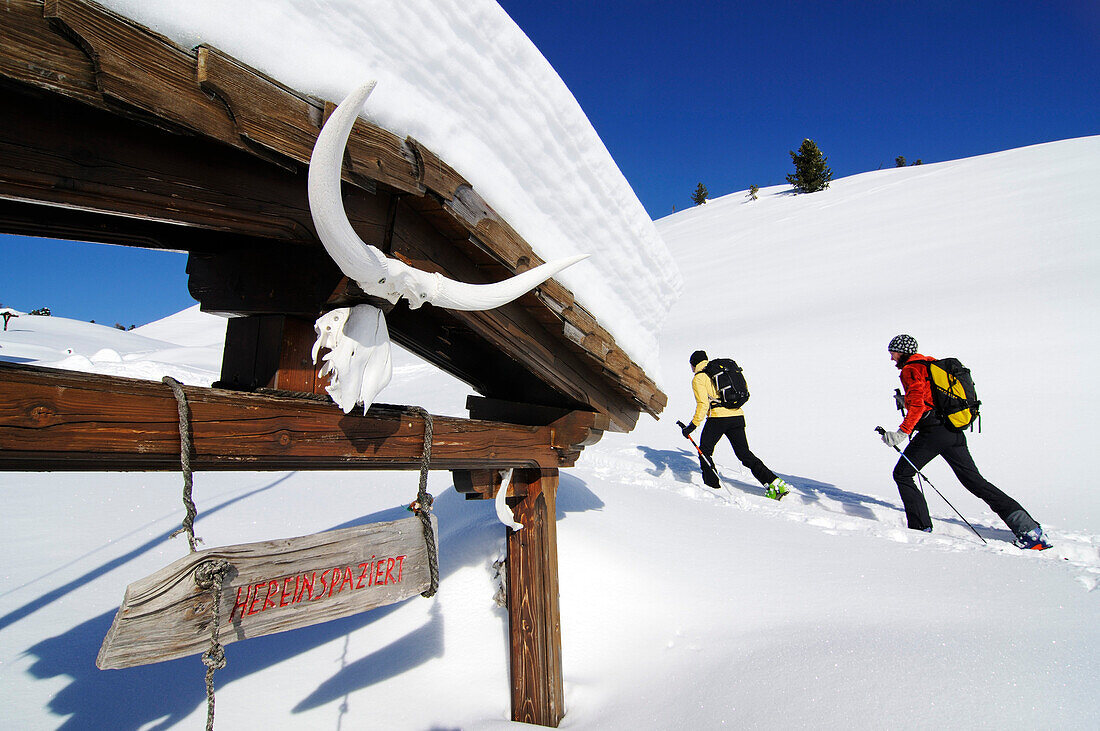 Skitour, Großer Jaufen,  Pragser Tal, Hochpustertal, Südtirol, Italien, model released